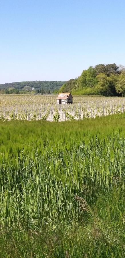 Le Clos De La Chesneraie 생-조르주-쉬르-셰르 외부 사진